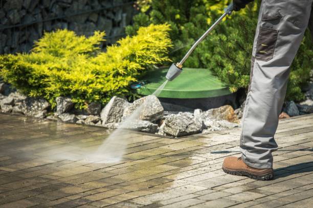 Best Animal Enclosure Cleaning  in Palm Shores, FL