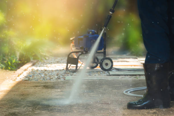Best Animal Enclosure Cleaning  in Palm Shores, FL